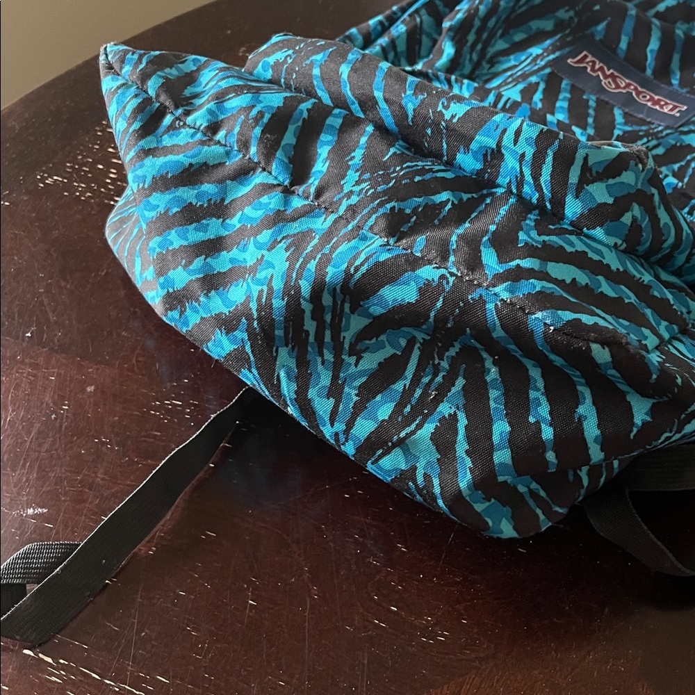 Unisex JanSport light weight Teal and Black Striped Backpack - Picture 7 of 10